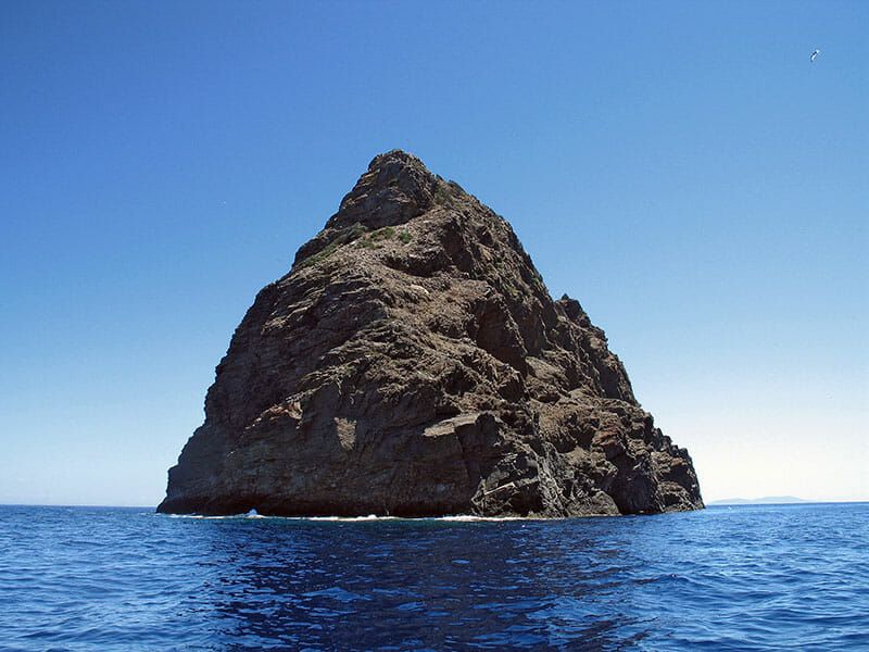 Falken kämpfen um Jabuka!