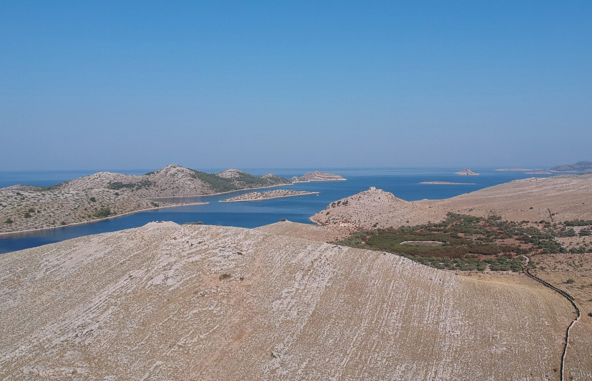 Schakale in den Kornaten – eine große Bedrohung für Schafherden