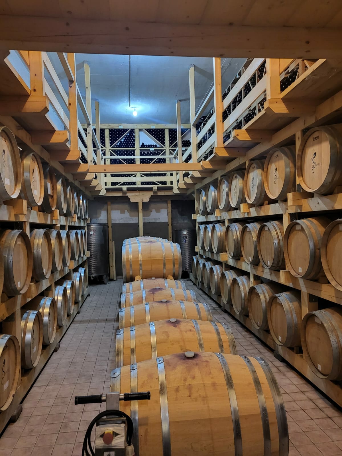 Der Wein der Könige im Plavi Val – das Beste für die Gäste!