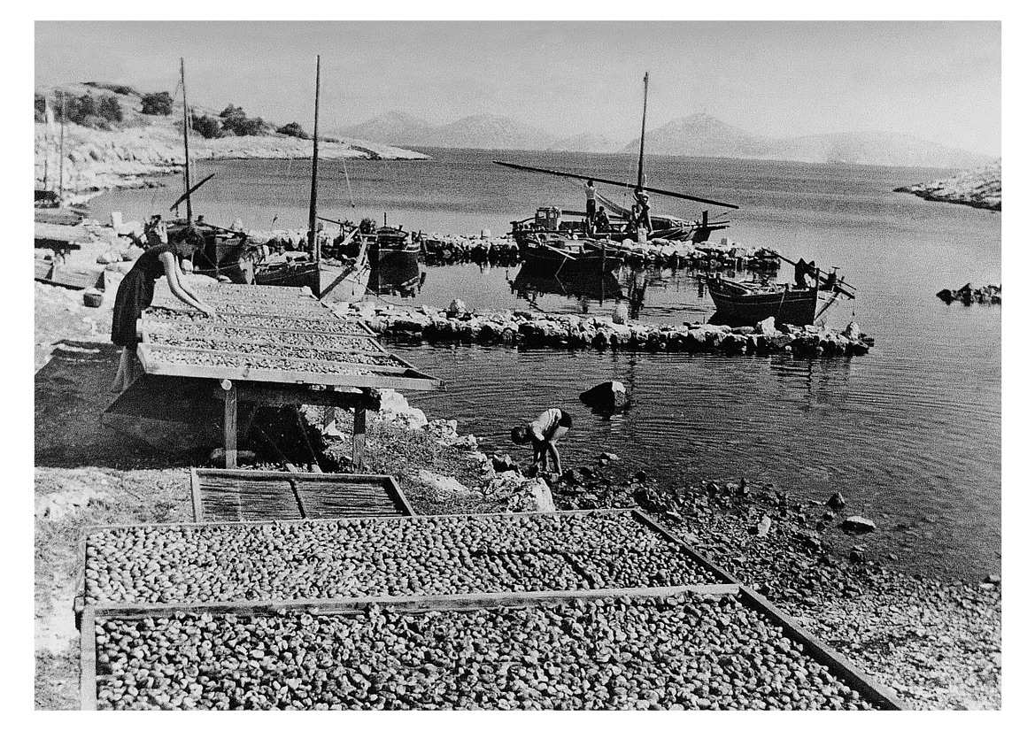 Smokvica –  die Feigeninsel im Kornati-Archipel