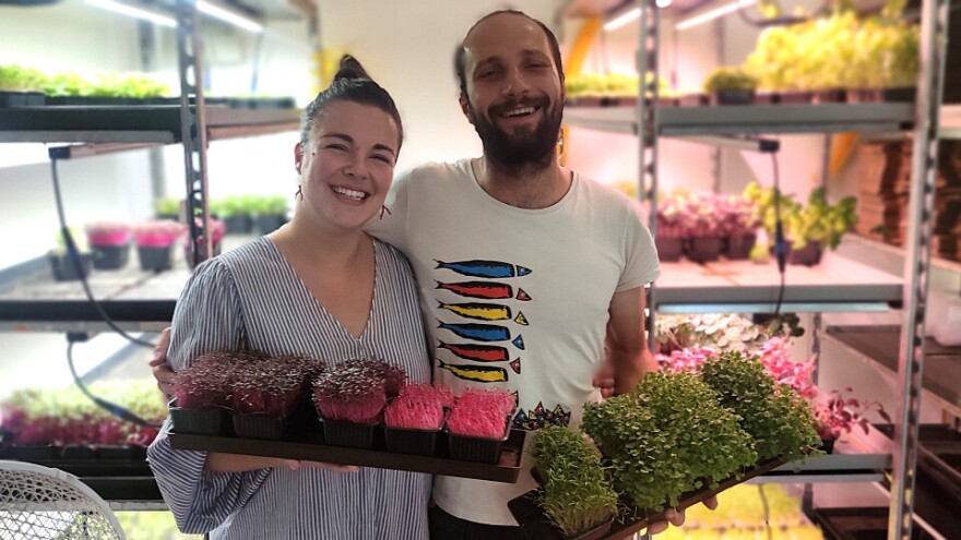 „Micro Jungle Zlarin“ – eine innovative Geschäftsidee für die eigene Firma auf der Insel